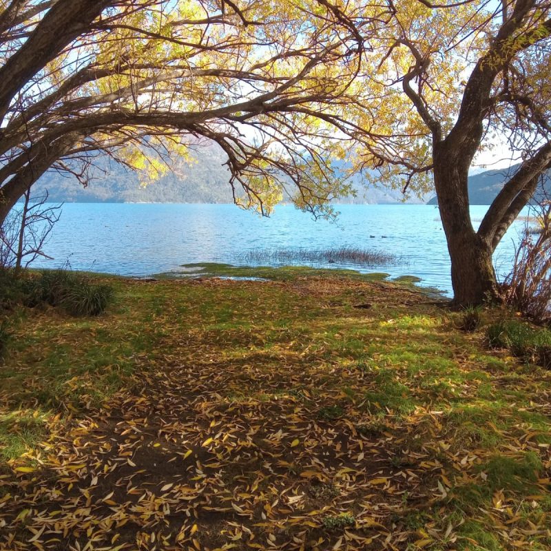 Lago Puelo